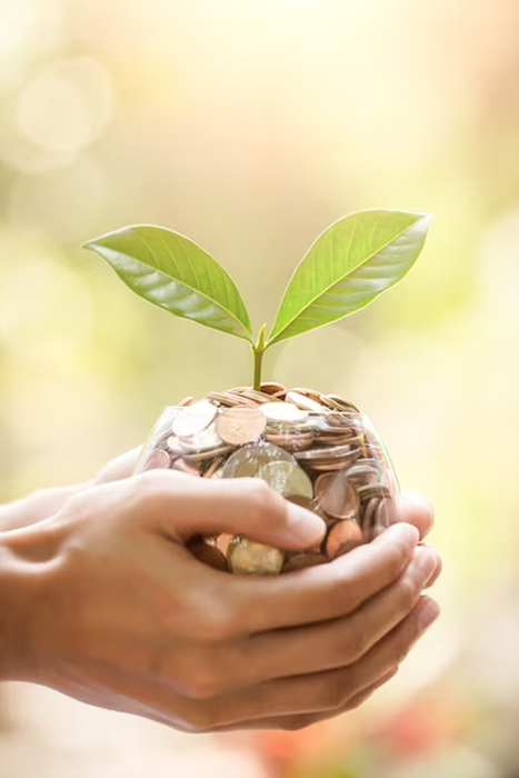 Swift, Secure, And Dependable Payments: Two Palms With A Handful Of Coins And An Offspring On Its Top